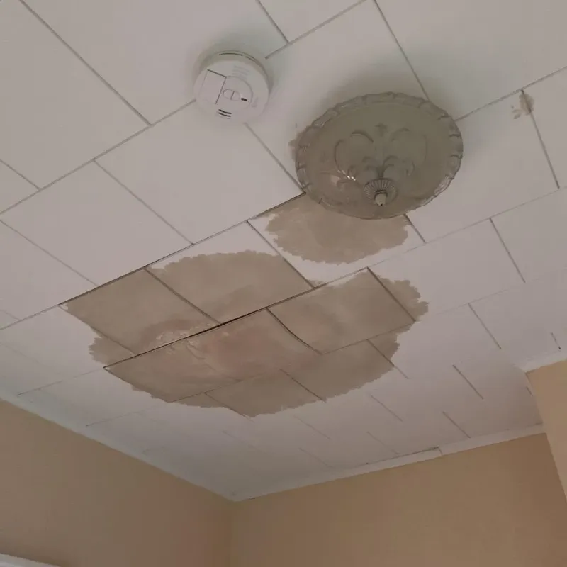Ceiling Water Damage Repair in Ashley, PA