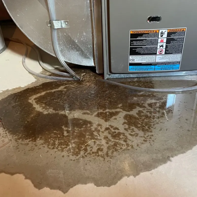 Pipe Burst and Leak Restoration in Ashley, PA