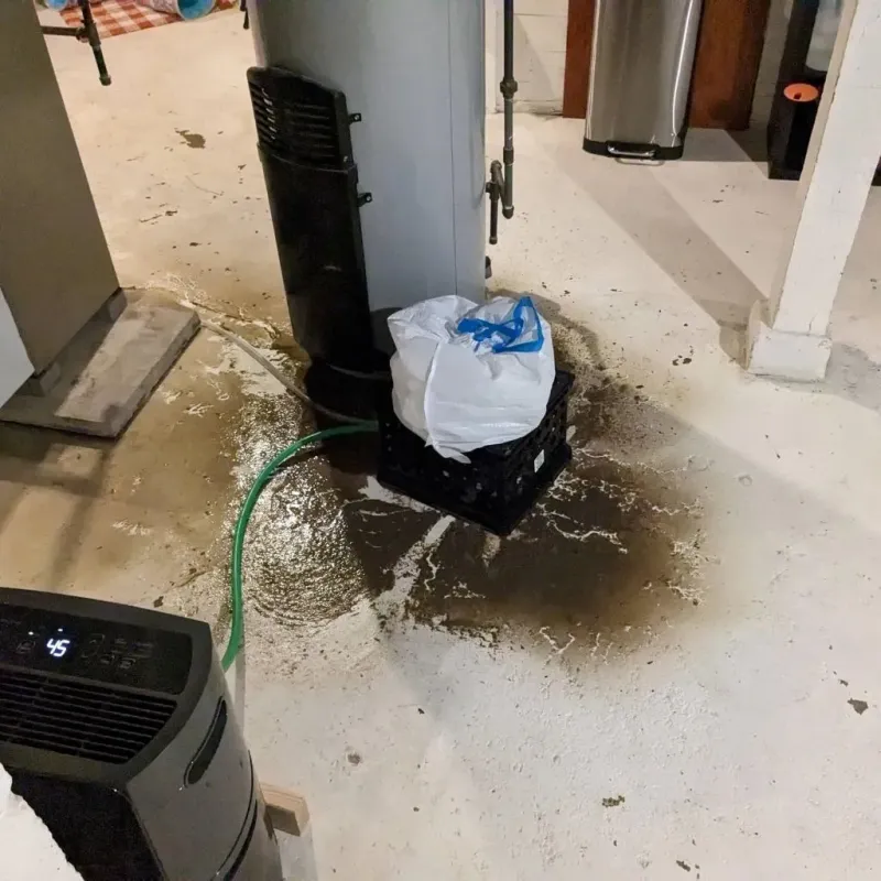 Sewage Backup Cleanup Service in Ashley, PA